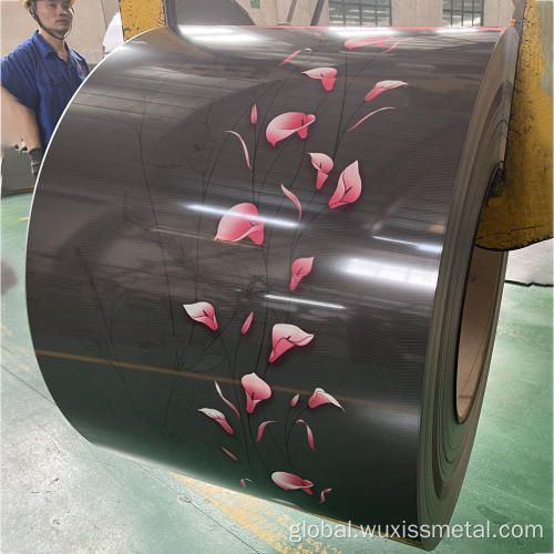 Color Painting Galvanized Steel laminated difference between ppgi and dubai ppgi coils Manufactory